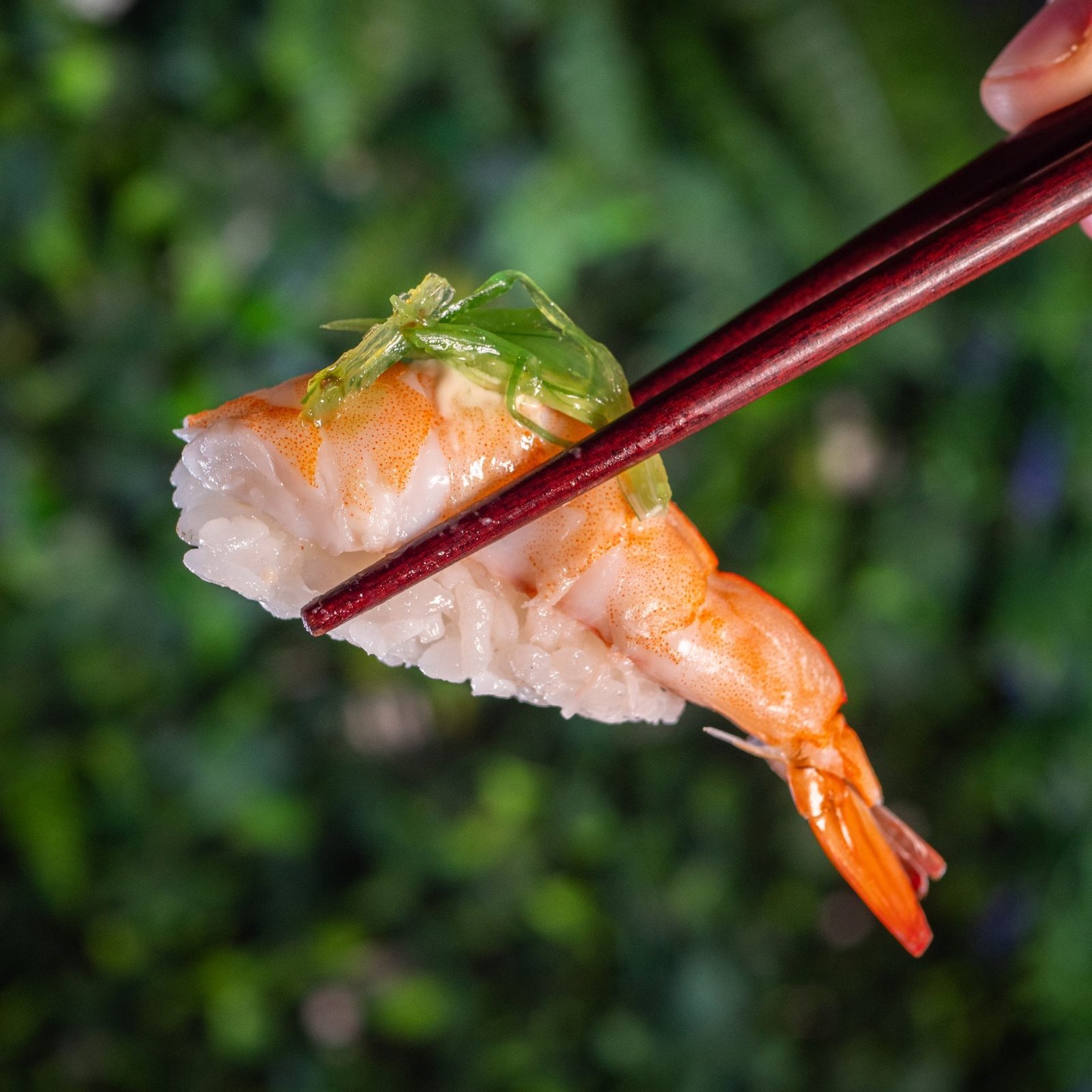 Niguiri Camarão – 04 Pcs